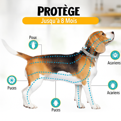 NaturaGuard™ - Collier anti-tiques et anti-puces