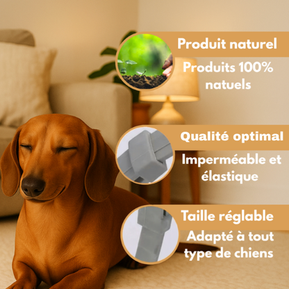 NaturaGuard™ - Collier anti-tiques et anti-puces