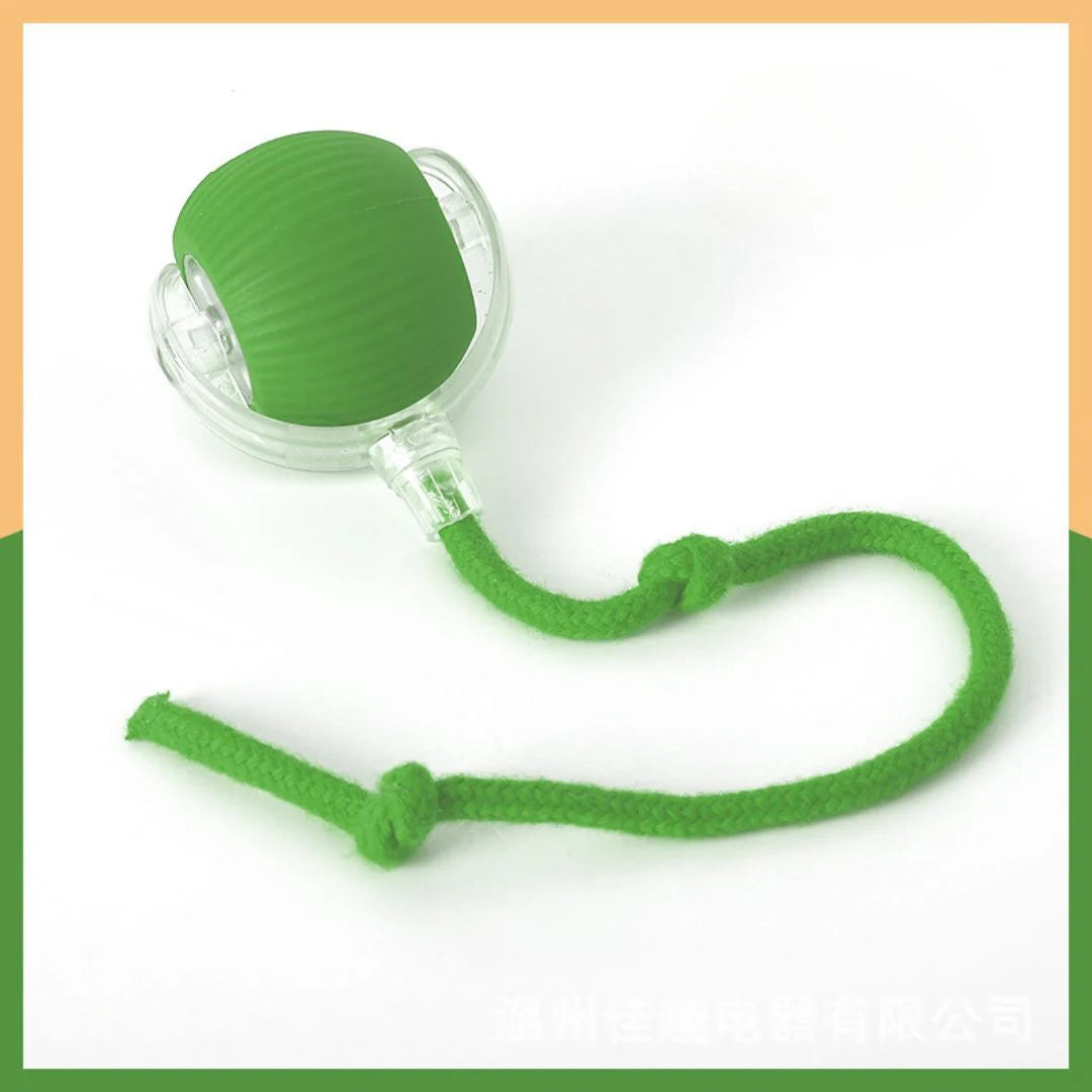 Rouleo™ - La balle interactive à queue pour chiens